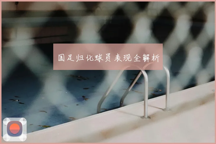 国足归化球员表现全解析