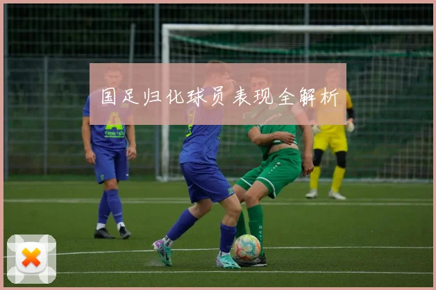 国足归化球员表现全解析